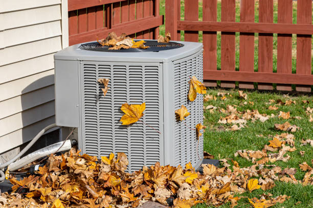 Best Furnace Cleaning in Mazon, IL